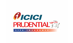 Insurance Companies |  bifs academy