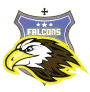 Falcon Flag