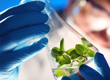 B.SC in Biotechnology