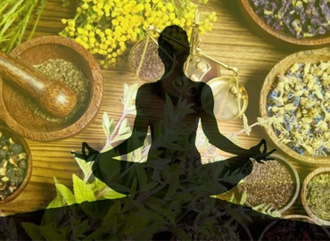Diploma in Naturopathy & Yoga