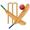 Cricket